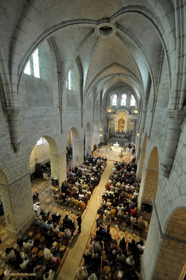 Nom de l'image : D30099977_1_(c)Norbert-JUNG — Description :